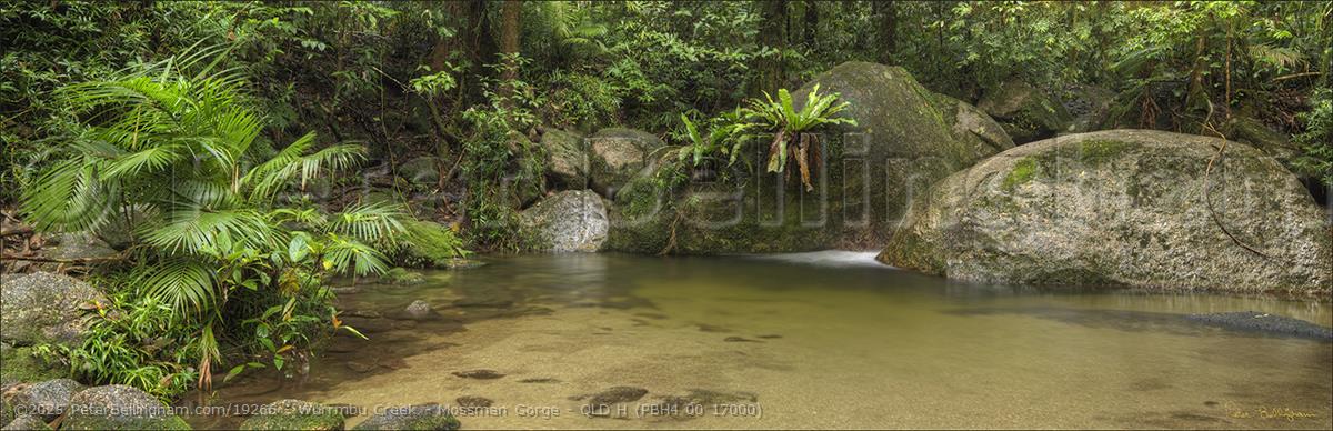 Peter Bellingham Photography Wurrmbu Creek - Mossman Gorge - QLD H (PBH4 00 17000)